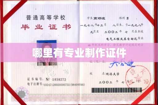 金川哪里有专业制作证件