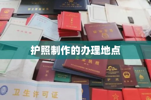 金川护照制作的办理地点