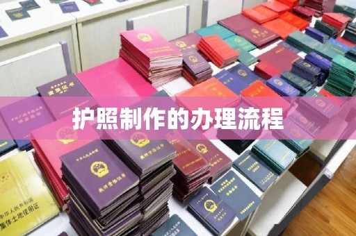 金川护照制作的办理流程